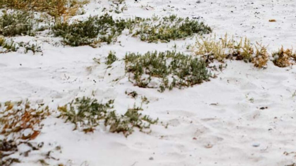 EstherKroeger.Traumatherapie.4