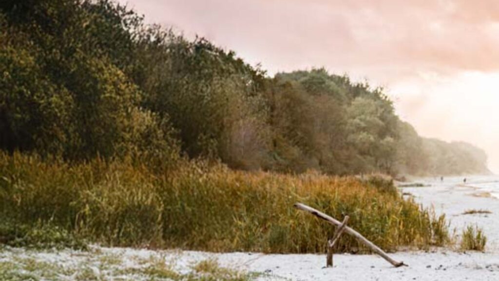 EstherKroeger.Traumatherapie.3